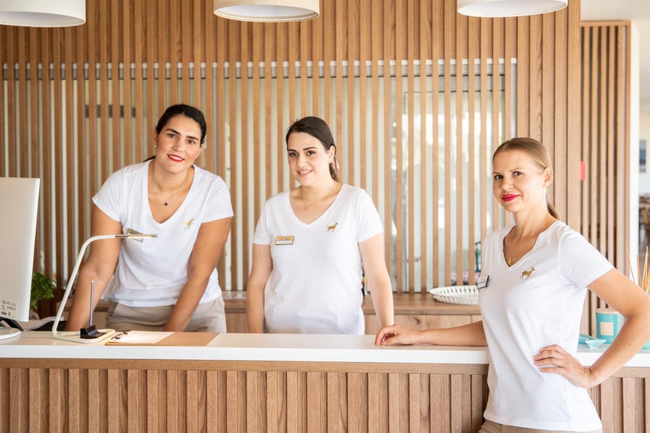 Chrissy's Paradise Hotel Agia Pelagia (Kreta)
